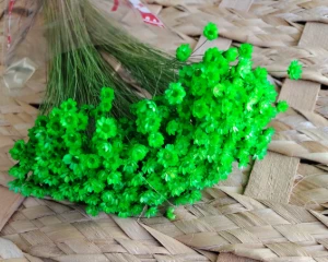 Sempre-viva Seca Verde Limão - Maço 100 a 150 Unidades - Artesanato e Personalizados