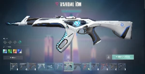 800 reias gastos / Phantom Vídeogame / Vandal Gatinho, Gaia - Valorant