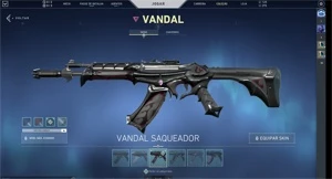 CONTA DE VALORANT 670 REAIS GASTOS POR MENOS DA METADE!!!!!!