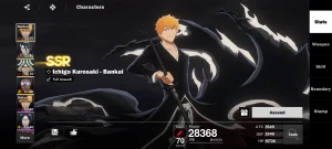 Bleach soul resounacer