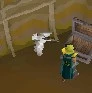 Conta skiller OSRS. - Runescape