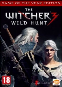 THE WITCHER 3: WILD HUNT PC STEAM