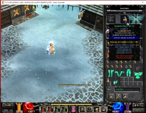 Elfa com 258 RR Mu C.a Brasil - MU Online