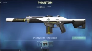 Conta Diamante Valorant + SKINS