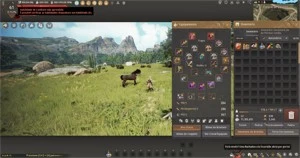 Conta BDO 299PA/355DP Archer Full Cash - 5000 Gastos - - Black Desert