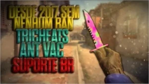 Csgo Hack Permanente Cheat VacBypass Indetectavel desde 2017 - Softwares and Licenses