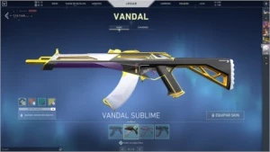 Conta valorant varias skins com mais de 500 reais gastos