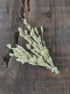 Mini Buquê de Sorgo 10 cm - Kit com 10 Unidades - Artesanato e Personalizados
