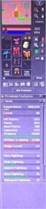 Char em open pvp - Tibia