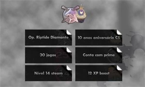 CSGO Prime, 30 Jogos, Moeda Aniverário Cs, Op Riptide - Steam