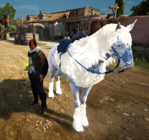 Conta Black Desert - [GS688] [Não Steam]