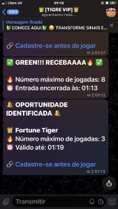 🐯I. A Tigre Fortune🐯 - Outros
