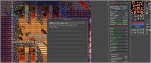 DRUID 63 E PALADIN 55 EM LOBERA OPEN PVP - Tibia