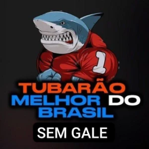 Tubarão Blaze - Outros