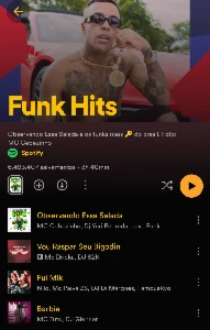 Spotify Gold Premium - Outros