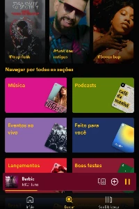 Spotify Gold Premium - Outros