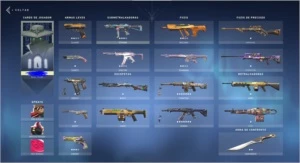 Conta valorant, prata2, com varias skins caras