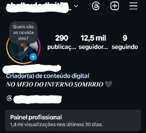 Conta de Instagram com 12,8k