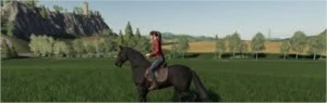 Farming Simulator 19 - Outros