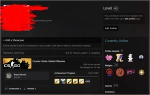 Conta Steam com CS GO Prime Aguia 2 level 19 GC - Counter Strike