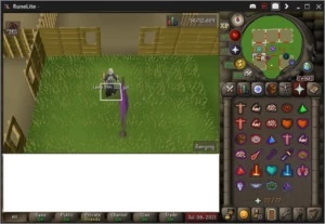 200 QP-DHCB-99RANGED-TODOS OS PRAYERS-ZULRAH PET - Runescape