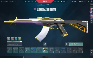 Conta De Valorant Dima 1 Com Skins / + de 700$ gastos