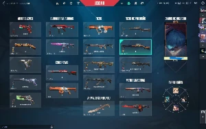 Conta De Valorant Dima 1 Com Skins / + de 700$ gastos
