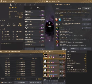 Conta ENDGAME - 793gs - Black Desert