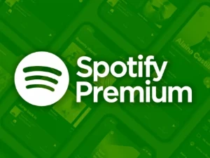 Spotify Premium - 1 ano Premium (Em Sua Conta Renovável) - Assinaturas e Premium