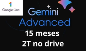 Google One 2 Tb + Gemini Advanced - 15 Meses - Outros