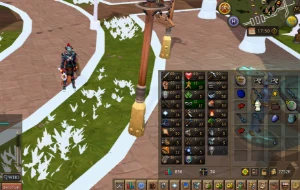 Acc Level  114 Osrs + Acc Runescape 3 Lvl 74