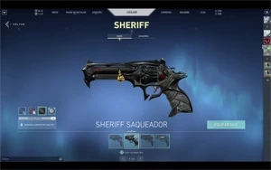 Vendo conta do Valorant com varias skins e passes