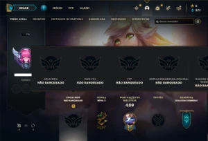 Conta Unranked com 140 Champs e 88 Skins ( MAIN SUPORTE ) - League of Legends LOL