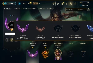 Mestre com 60 Champs e 10 Skins ( 68 PDL )