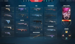 Conta Valorant Com Muitas Skins