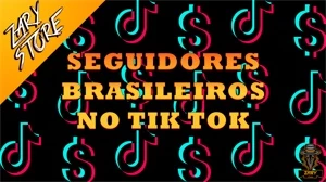 [R30] TIKTOK SEGUIDORES BRASILEIROS - Redes Sociais