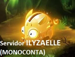 Dofus Pacote 10 Milhões De Kamas Servidor Ilyzaelle