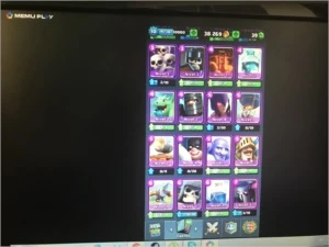 Clash royale level 10 arena 10