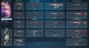 Conta NFA Valorant 20-40 Skins