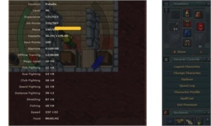 10 Voucher + Paladin 48 com 78 de Distance + Equipamentos - Tibia