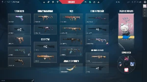 conta valorant MUITA SKIN