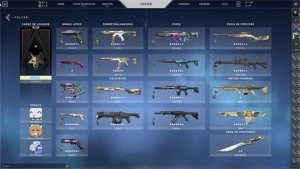 CONTA VALORANT/LOL COM MAIS DE 11 MIL GASTOS