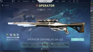 CONTA VALORANT/LOL COM MAIS DE 11 MIL GASTOS
