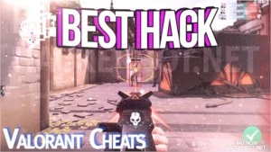 Cheat Valorant Aimbot e Aim assist