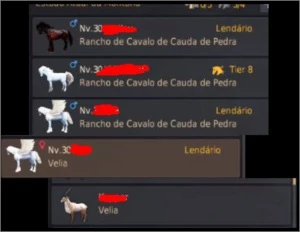 Conta de Black Desert Z - GAMEZ NA (BDZ NA) - SEM/ EMAIL