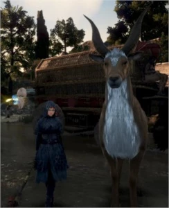 Conta de Black Desert Z - GAMEZ NA (BDZ NA) - SEM/ EMAIL