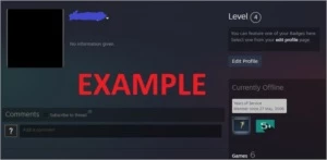 Steam 14 anos de serviço - CSGO MEDALHAS 10-5 ANOS - Counter Strike