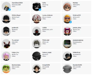 Seguidores Roblox - Perfil