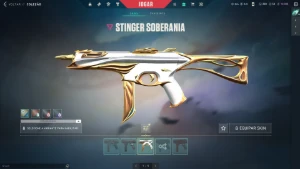 Conta Valorant 2K Gastos Skins Top