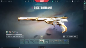 Conta Valorant 2K Gastos Skins Top